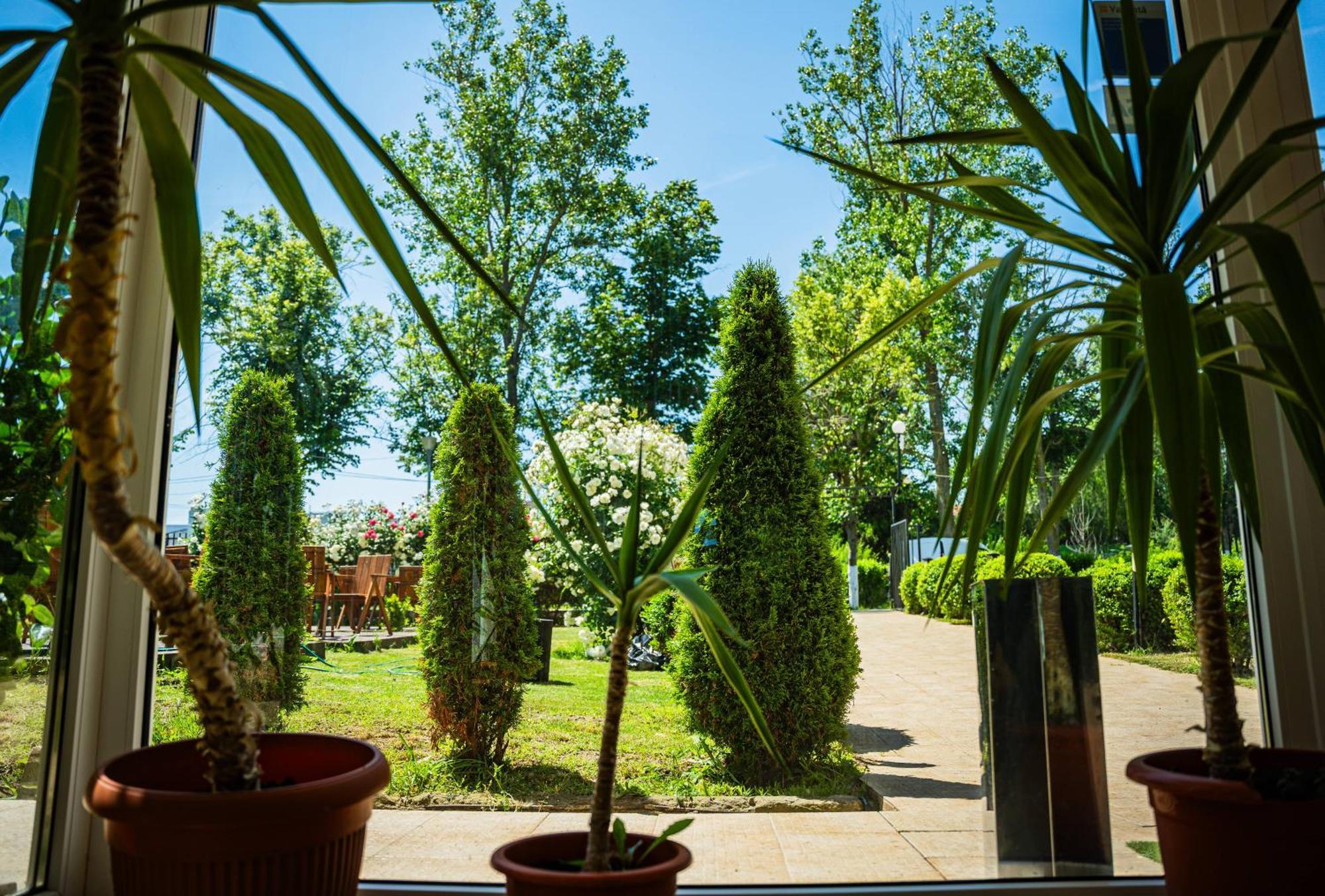 Отель Complex Vraja Marii Костинешти Экстерьер фото